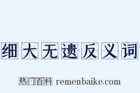 细大无遗反义词是什么意思的图片